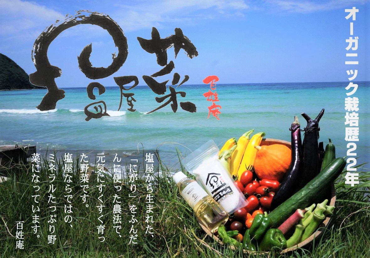 塩屋菜 POP 加工済み